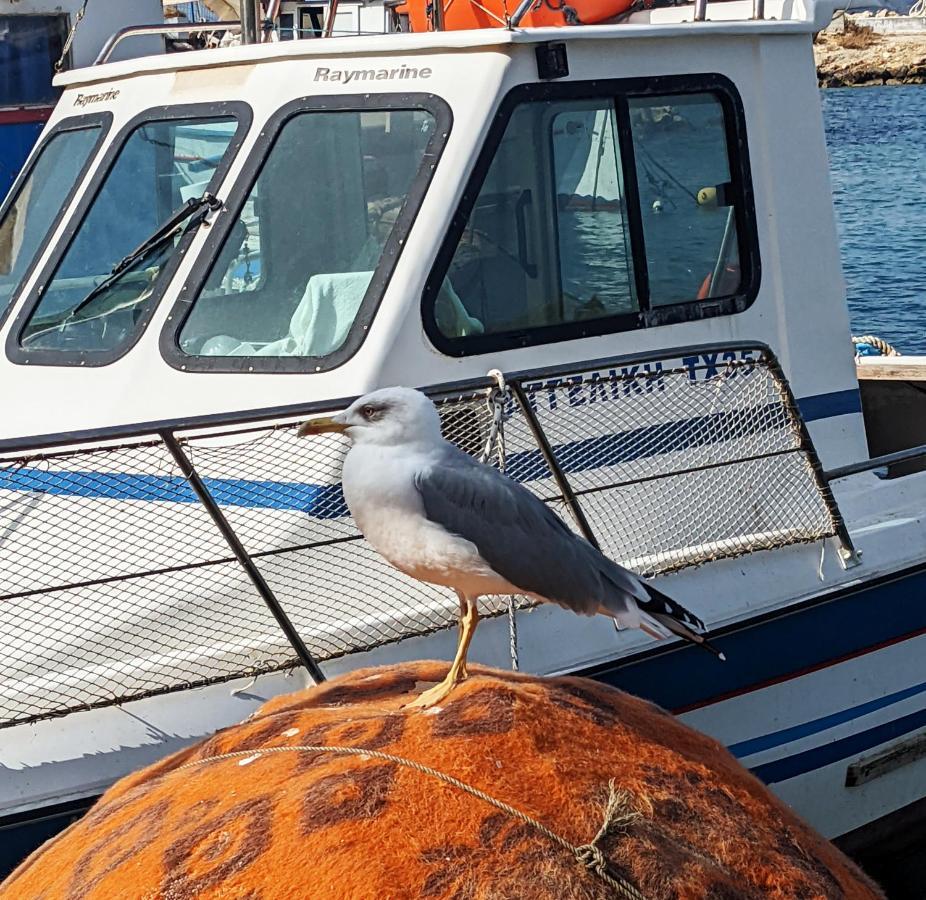 Tamar'S Place Chania  Екстер'єр фото